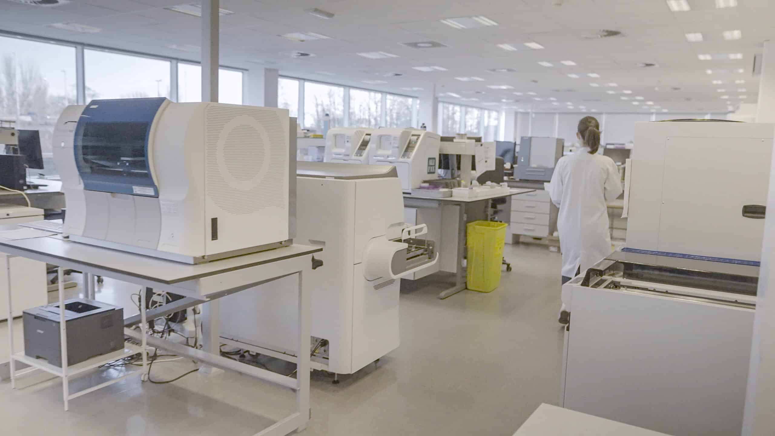 セルバ・ヘント 19 スケール 2