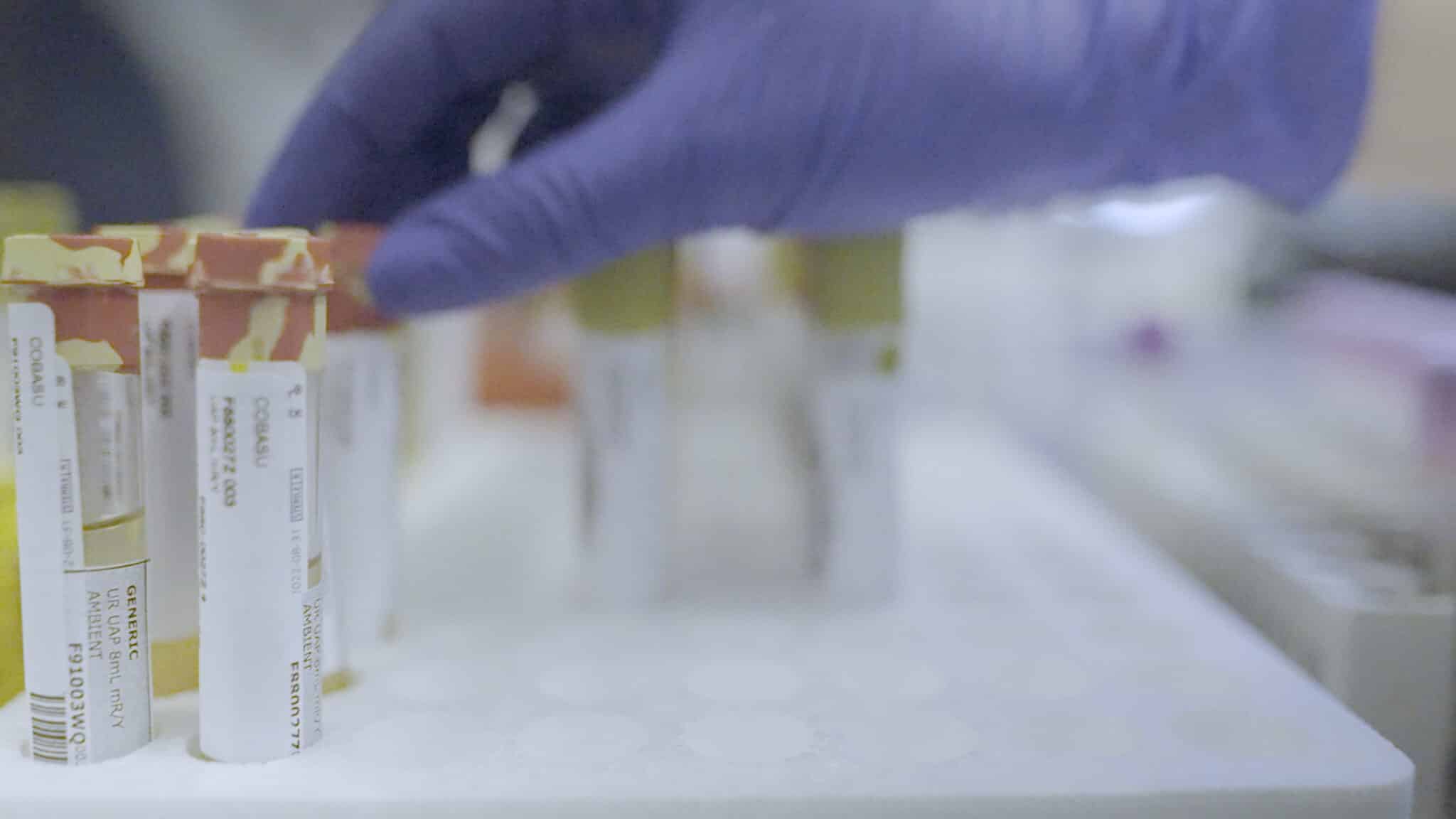 セルバ・ヘント_8-2048×1152