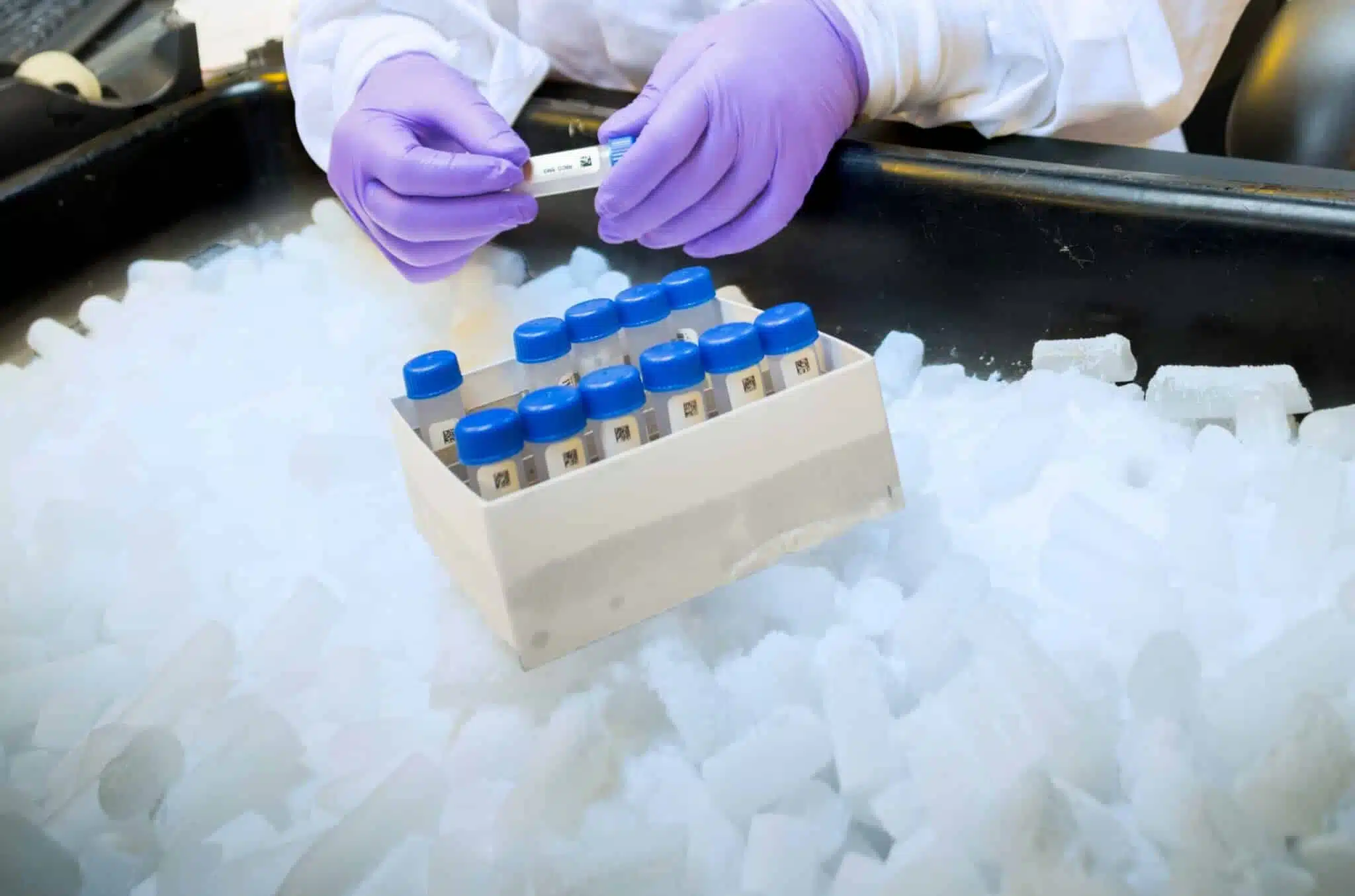 lab-concierge-blog-June-2-scaled-1-2048x1355-1