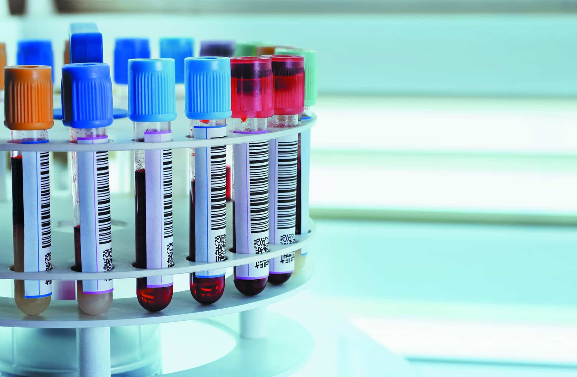 シャッターストック 146119724