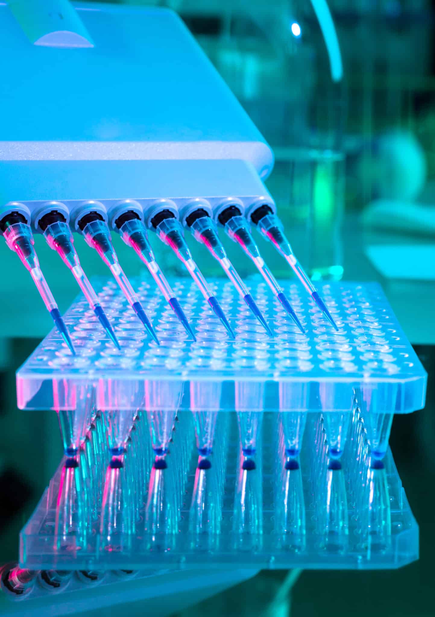 HBRI powers up with its partner ENPICOM to provide tailored, End to End solutions to its customers in decoding immune repertoire.