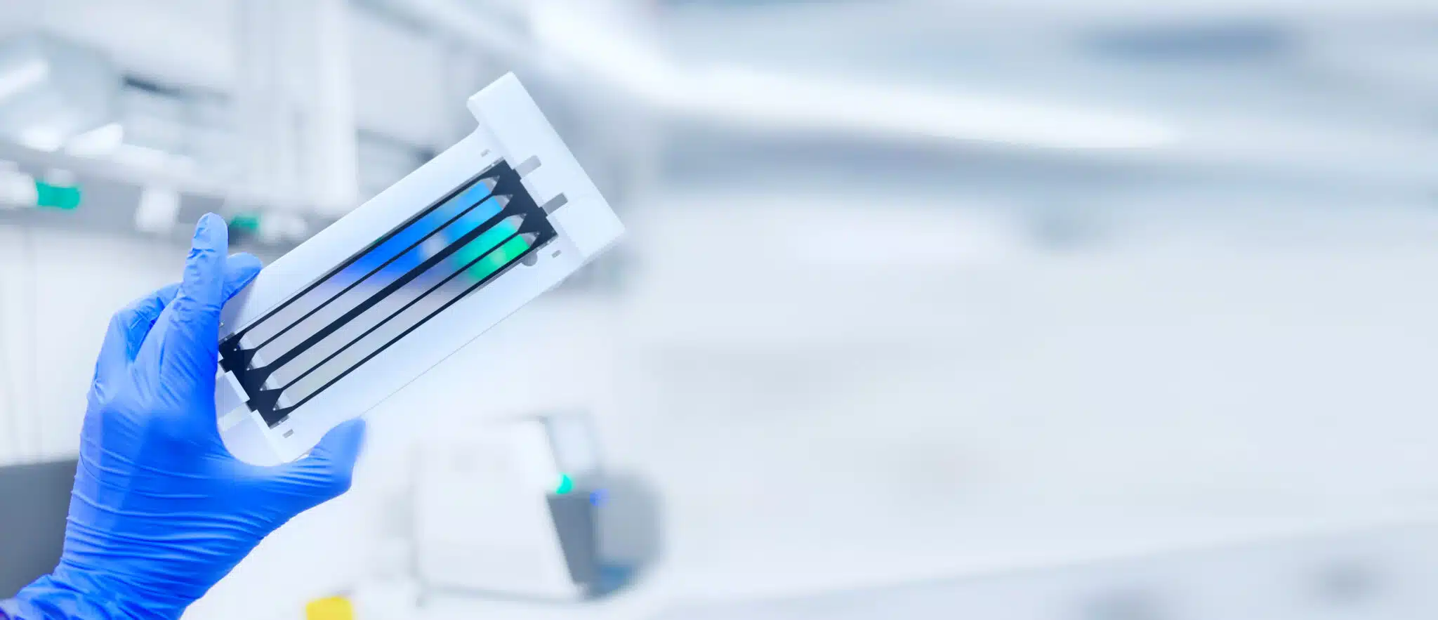 シャッターストック 1955588791 2048x883 1